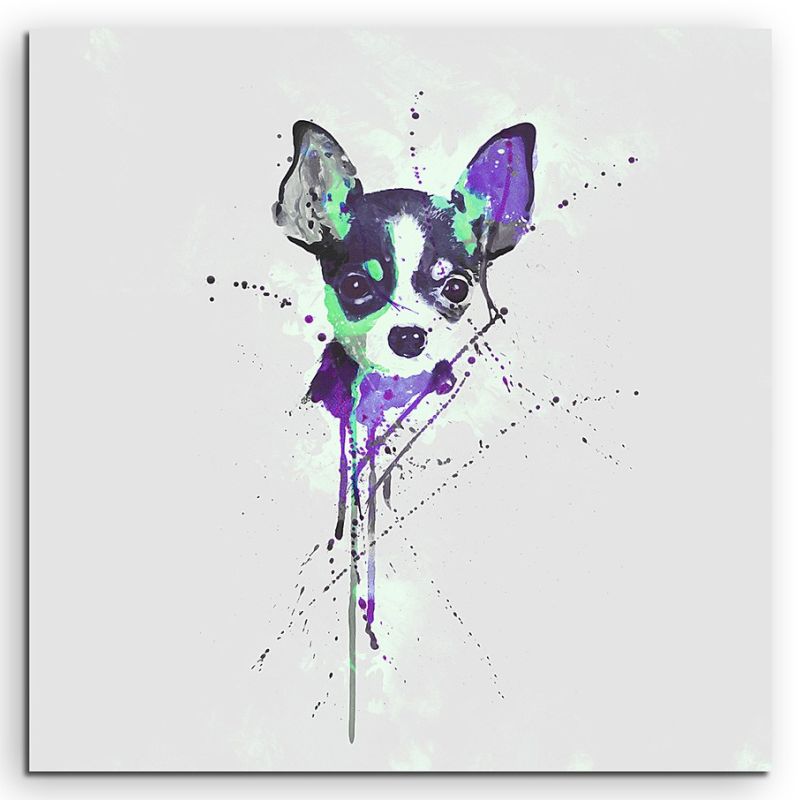 Chihuahua 60x60cm SA