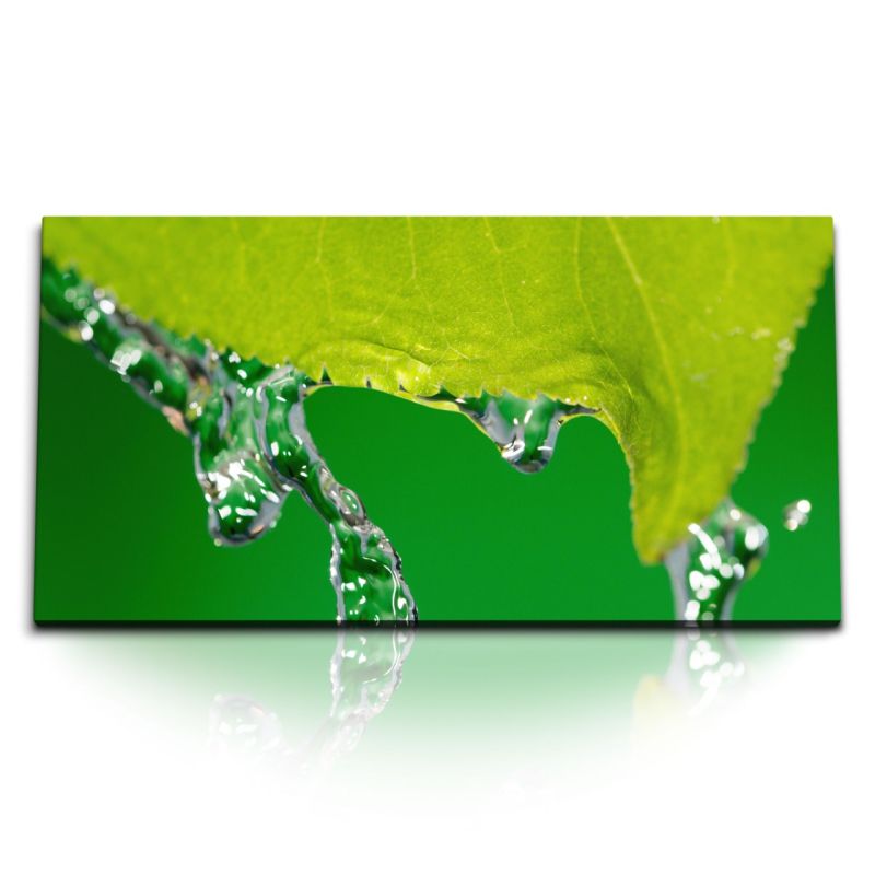 Kunstdruck Bilder 120x60cm Makrofotografie grünes Blatt Regenwasser Natur