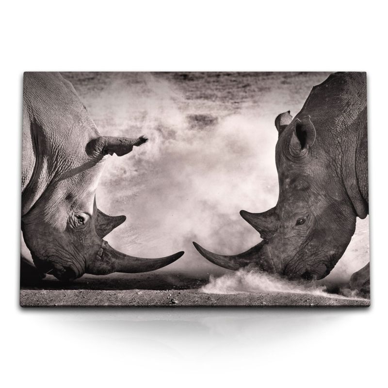 120x80cm Wandbild auf Leinwand Nashorn Bullenkampf Schwarz Weiß Afrika Tierfotografie