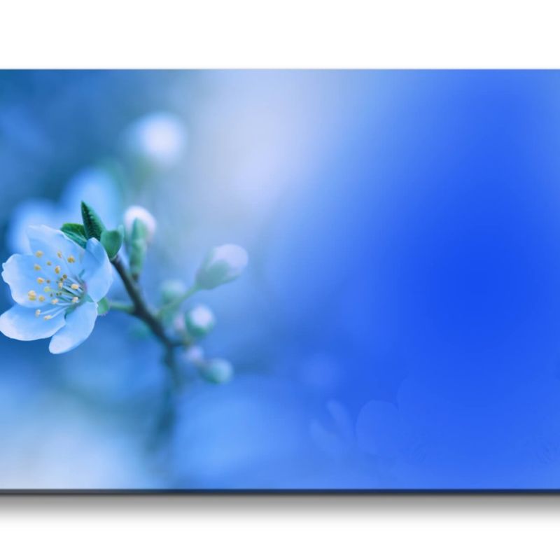 Leinwandbild 120x60cm Baumblüte Blau Frühling Fotokunst Fine Art Schön