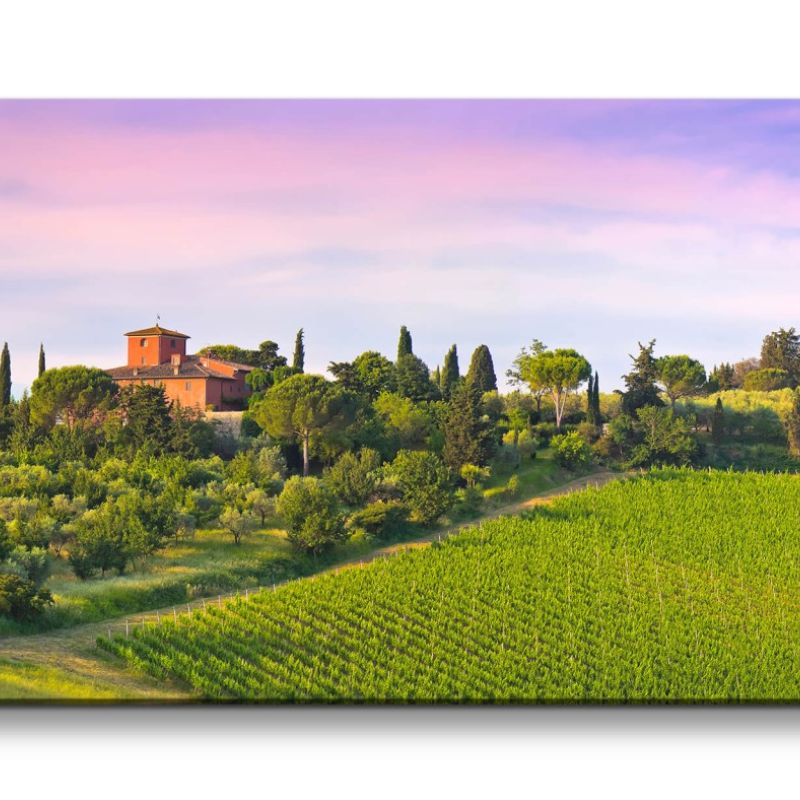 Leinwandbild 120x60cm Toskana Italien Weinberg Finca Landschaft Natur Schön