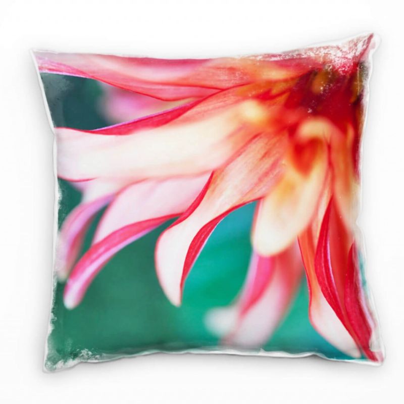 Macro, Blumen, Blütenblätter, rot, tütkis Deko Kissen 40x40cm für Couch Sofa Lounge Zierkissen