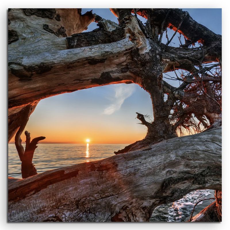 Naturfotografie – Treibholz am Strand bei Sonnenaufgang auf Leinwand