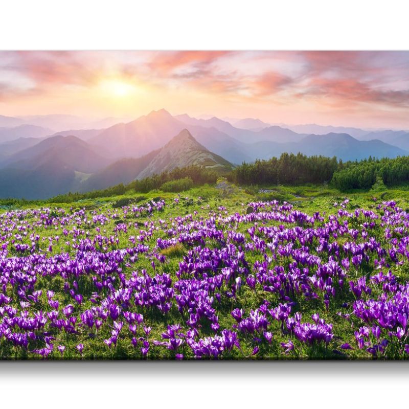 Leinwandbild 120x60cm Alpen Berge Wildblumen Landschaft Natur Wunderschön