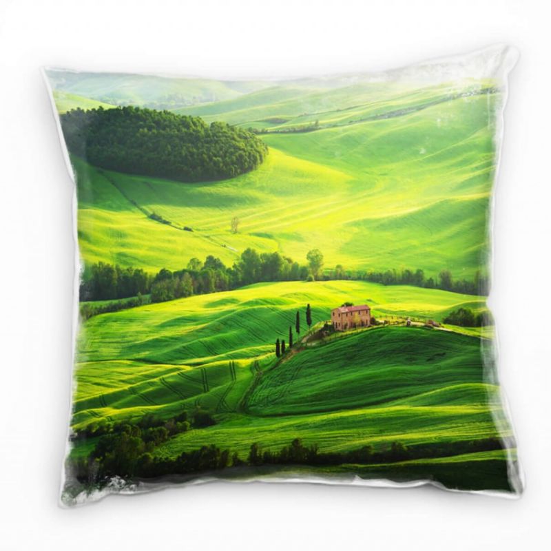 Landschaften, Baum,grüne Wiese, blauer Himmel Deko Kissen 40x40cm für Couch Sofa Lounge Zierkissen