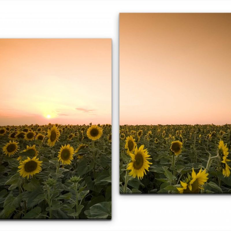 Dämmerung über Sonnenblumenfeld Wandbild in verschiedenen Größen