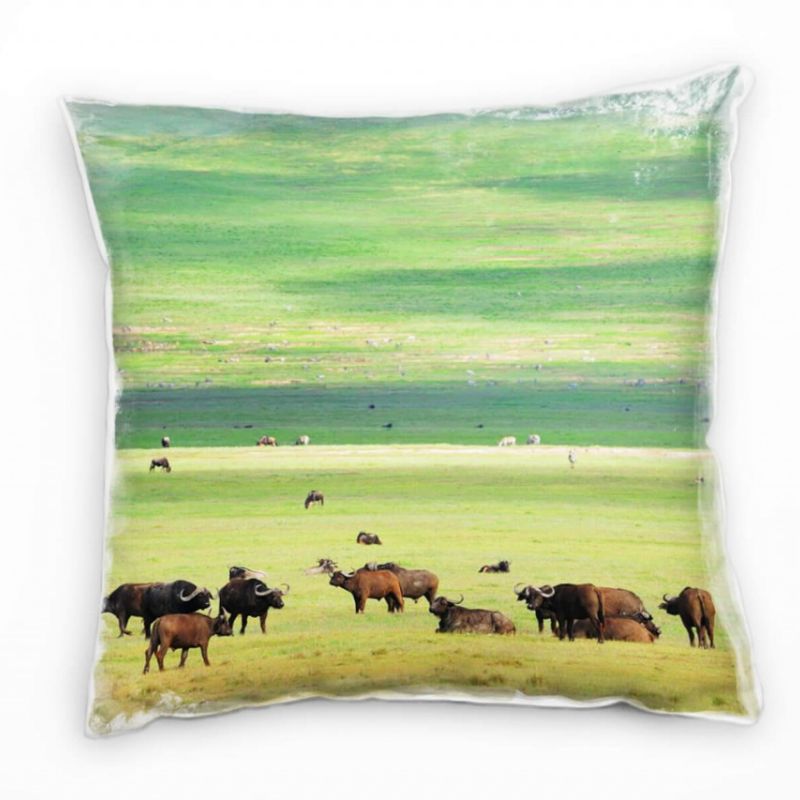 Tiere, grün, braun, Büffel, Steppe  Deko Kissen 40x40cm für Couch Sofa Lounge Zierkissen