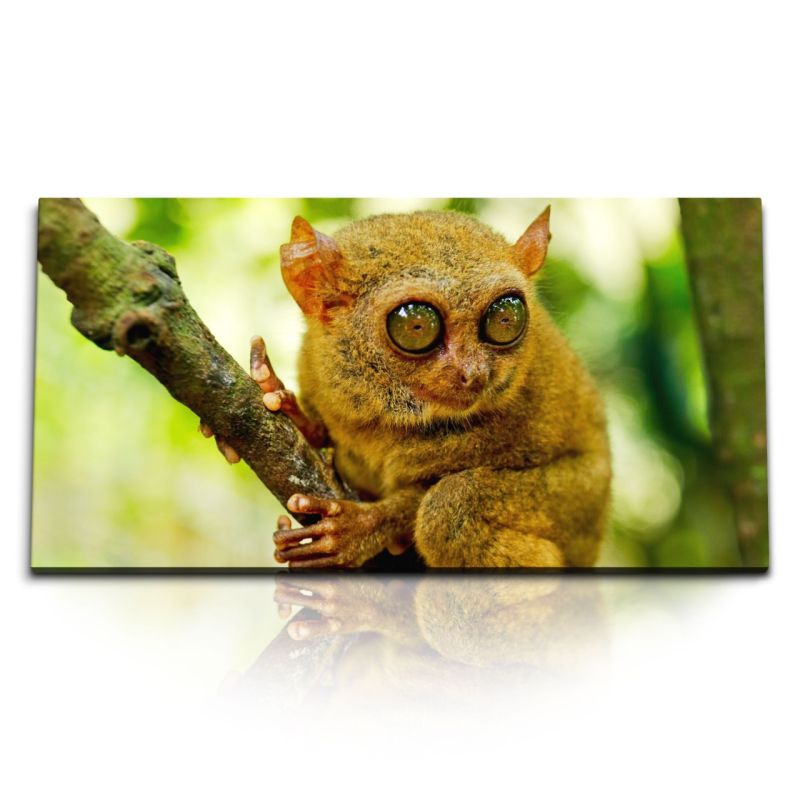 Kunstdruck Bilder 120x60cm Koboldmaki Maki Tierfotografie Dschungel Tropisch