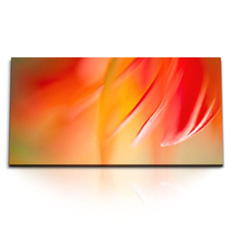 Kunstdruck Bilder 120x60cm Makrofotografie Blüte Blume Rot Orange Kunstvoll