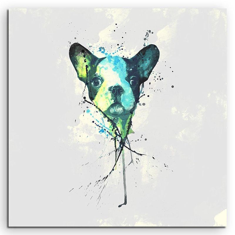 Cute French Bulldog 60x60cm SA