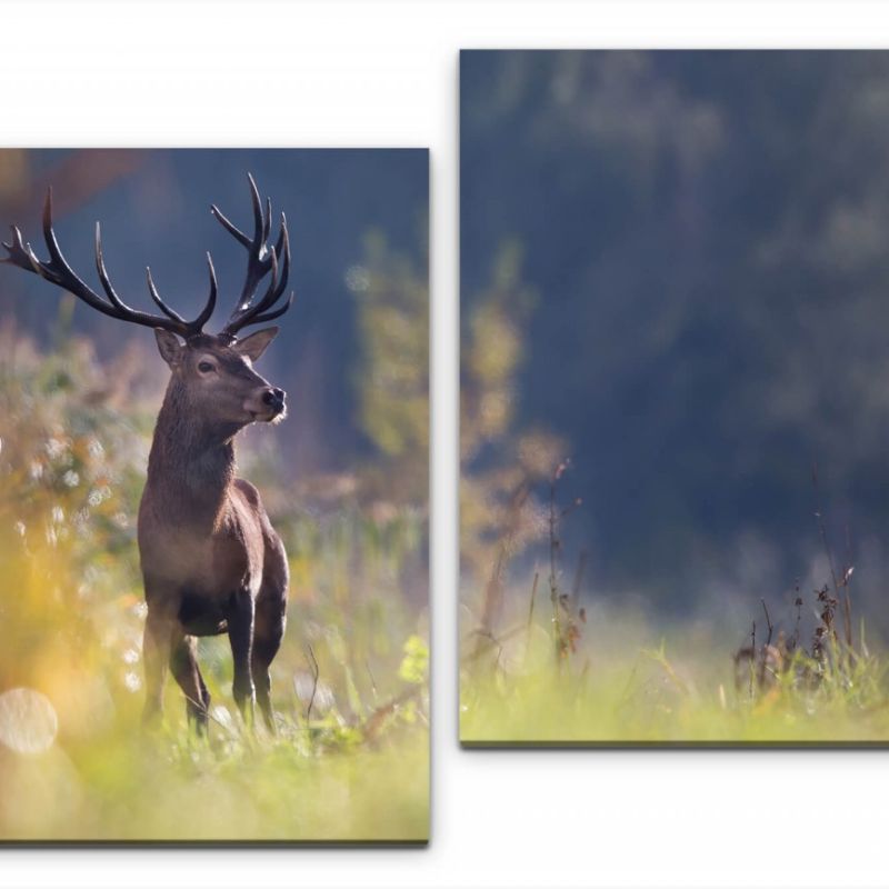 Hirsch in einem Wald Wandbild in verschiedenen Größen