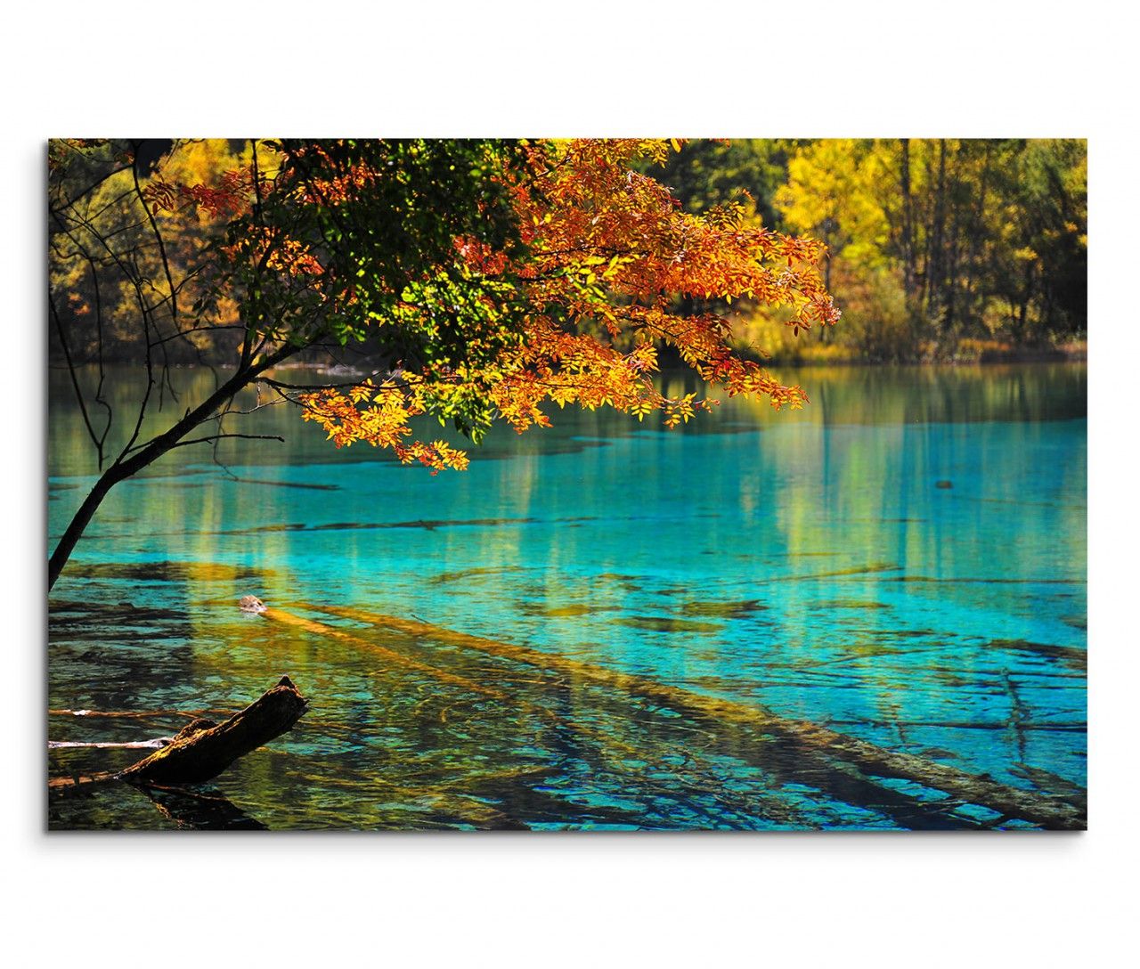 120x80cm Wandbild China Nationalpark See Bäume Natur