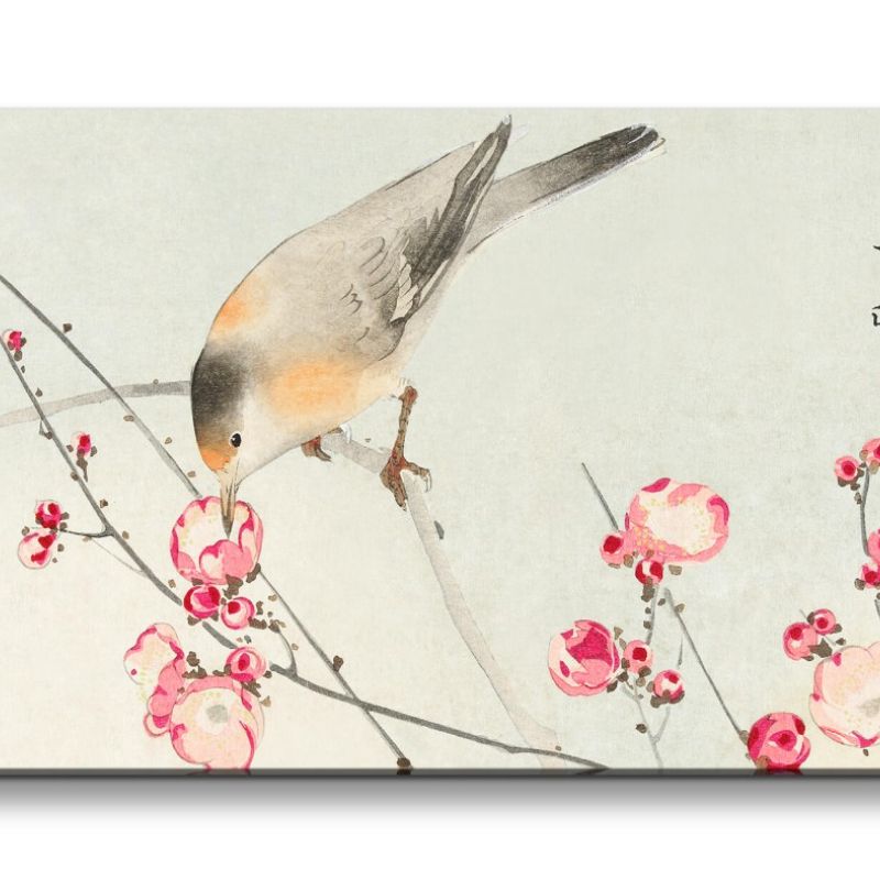 Remaster 120x60cm Ohara Koson traditionell japanische Kunst schöner Vogel auf Ast Blumen Frühling