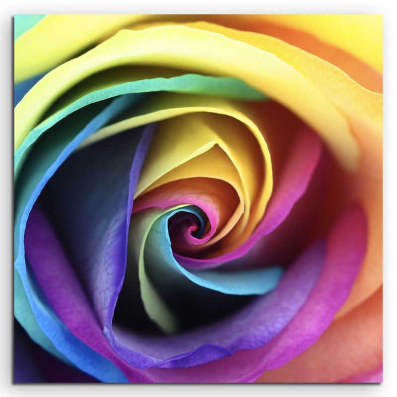 Naturfotografie –  Rose in Regenbogenfarben auf Leinwand