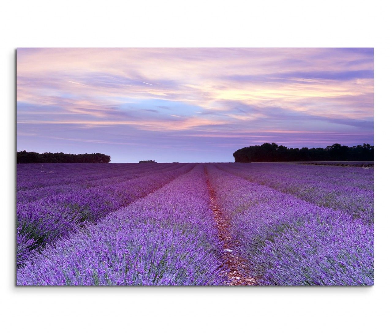 120x80cm Wandbild Provence Lavendelfeld Sommer Sonnenuntergang