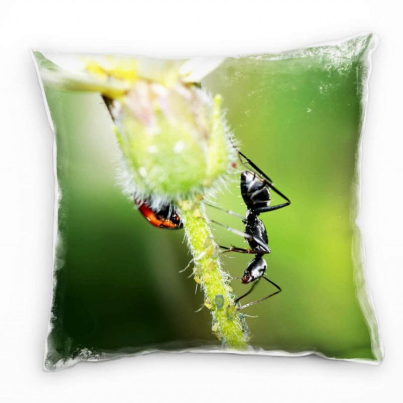 Macro, Tiere, Ameise, Blüte, grün, weiß Deko Kissen 40x40cm für Couch Sofa Lounge Zierkissen