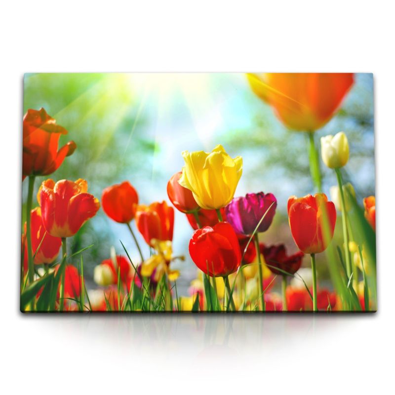 120x80cm Wandbild auf Leinwand Tulpen Sommer Blumen Sonnenschein Rot Gelb