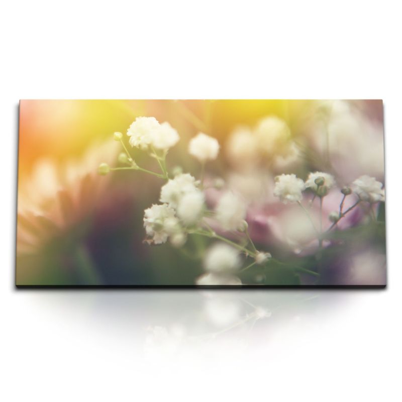 Kunstdruck Bilder 120x60cm Weiße Blumen Natur Sommer Kunstvoll Sonnenstrahl