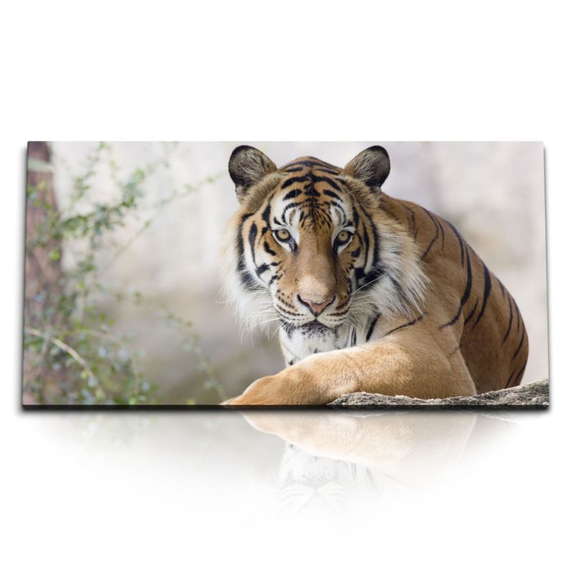 Kunstdruck Bilder 120x60cm Tiger Raubkatze Tierfotografie Wildnis Katze