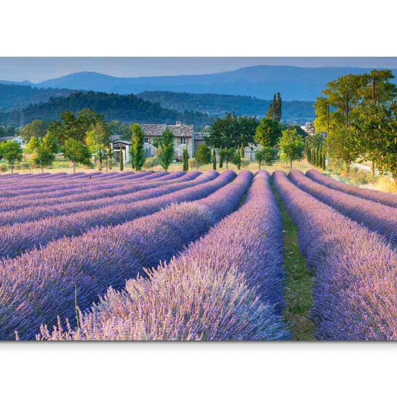 120x80cm Wandbild Provence Lavendelfeld Sommer Bäume Berge