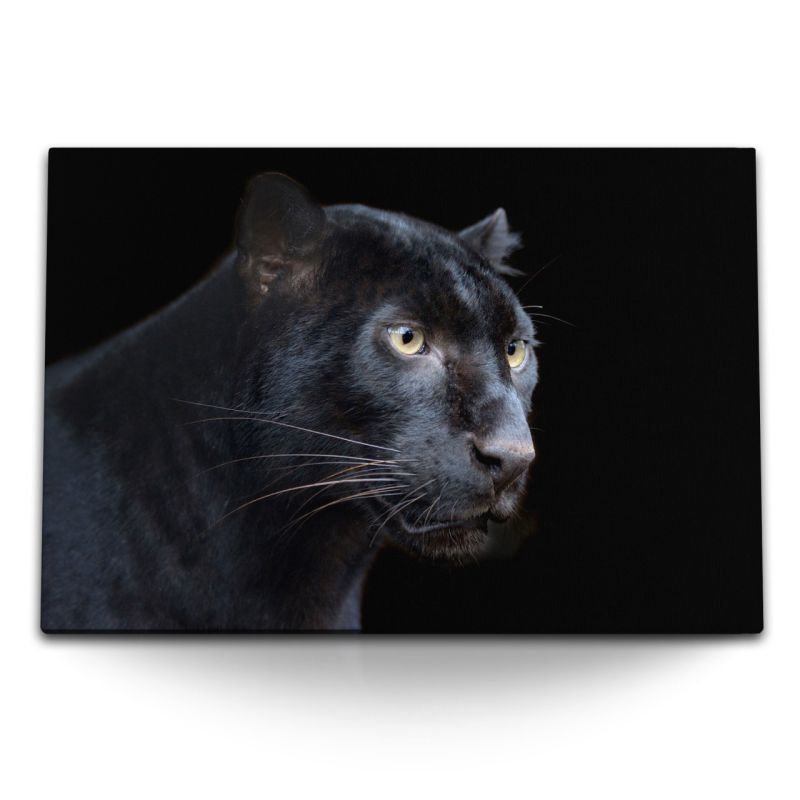 120x80cm Wandbild auf Leinwand Schwarzer Panther Raubkatze Tierfotografie Puma