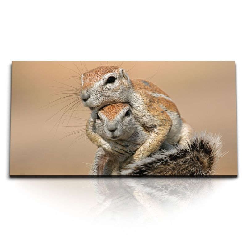 Kunstdruck Bilder 120x60cm Zwei Eichhörnchen Tierfotografie Natur Kinderzimmer