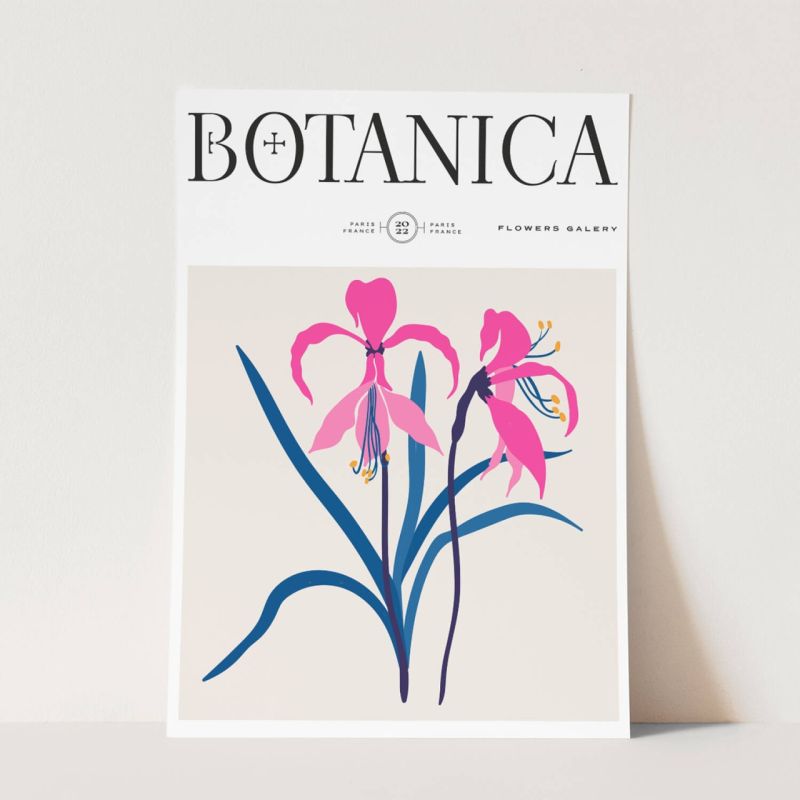 Botanica Wunderschöne Blumen Illustration Dekorativ Modern Farbenfroh