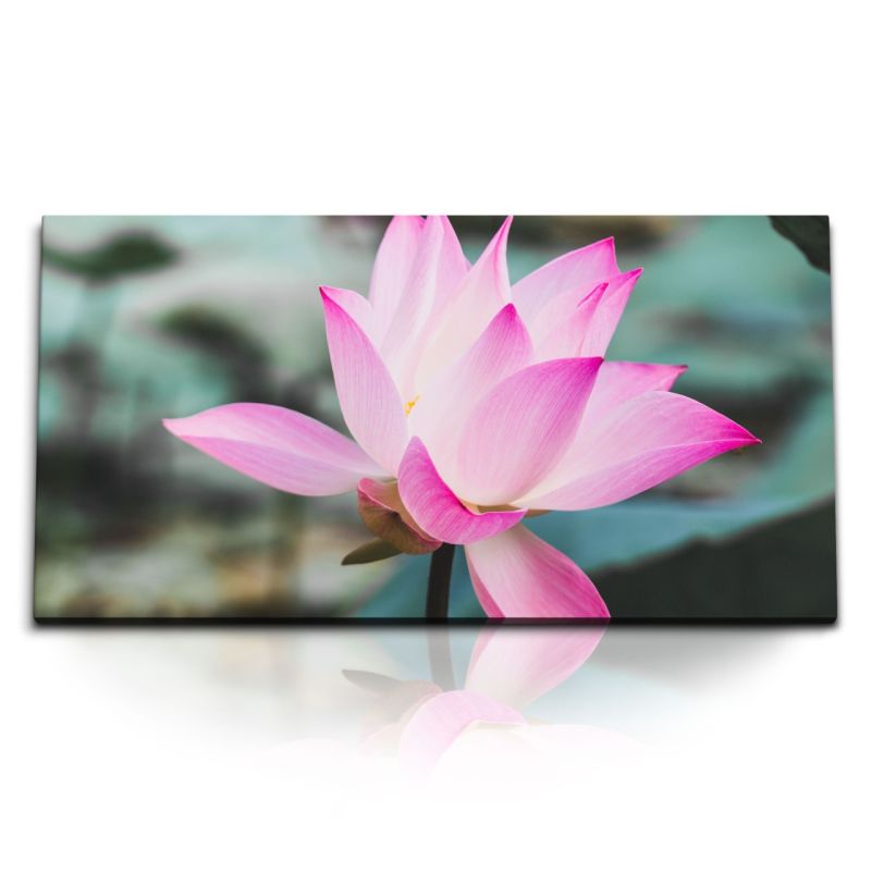 Kunstdruck Bilder 120x60cm Lotus Lotusblume Blume Wasserblume Blüte