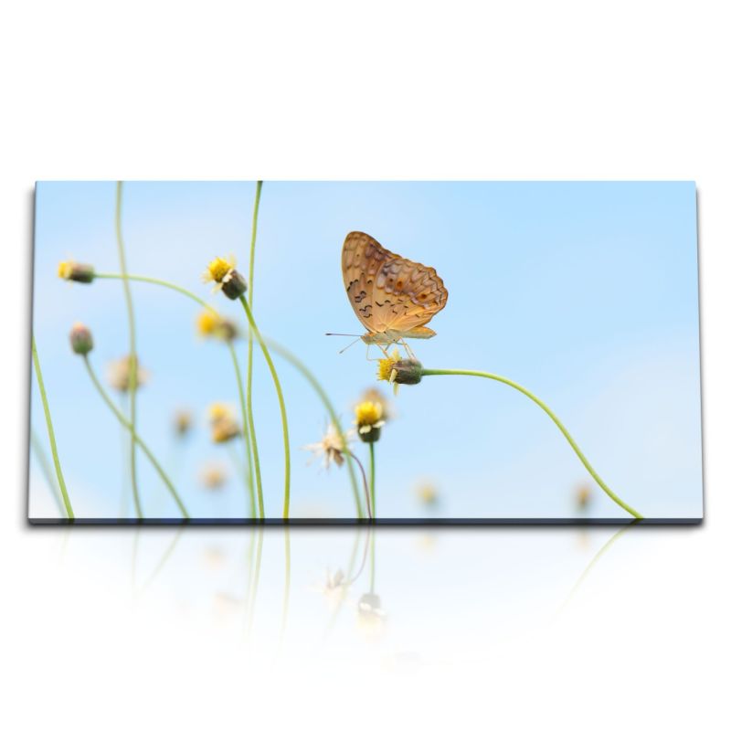 Kunstdruck Bilder 120x60cm Sommer Schmetterling Löwenzahn blauer Himmel