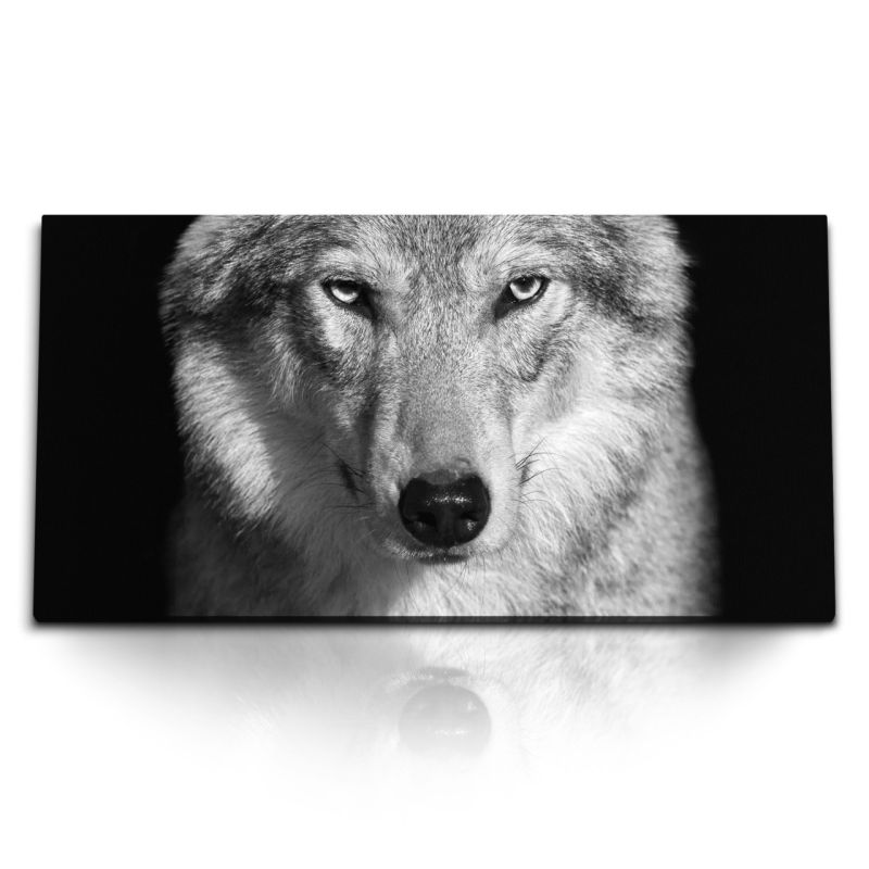 Kunstdruck Bilder 120x60cm Wolf Porträt Tierfotografie Schwarz Weiß schwarzer Hintergrund