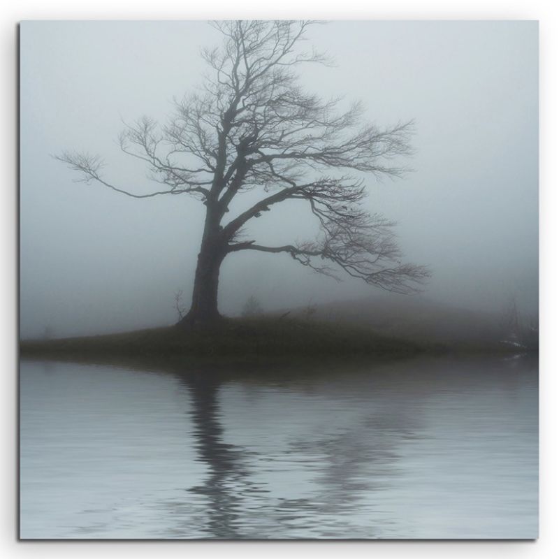 Naturfotografie –  Einsamer Baum in grauer Nebenllandschaft auf Leinwand