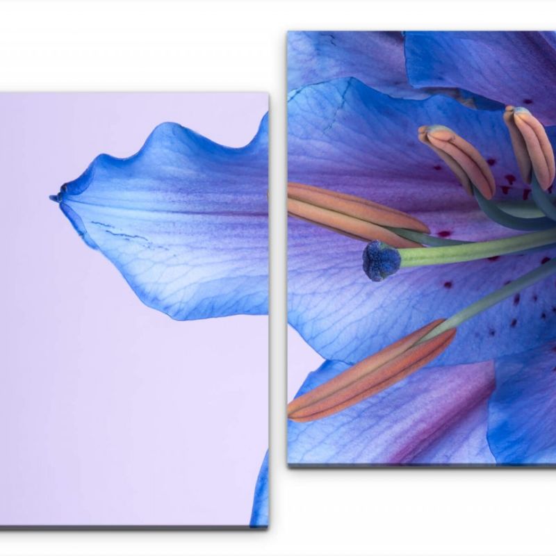 blaue Blumenblüte Wandbild in verschiedenen Größen