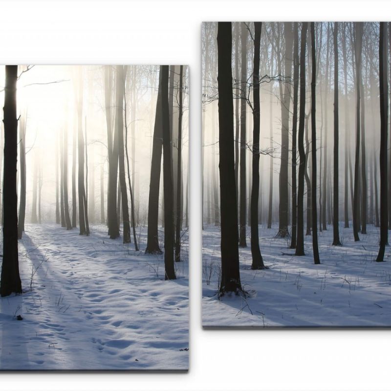 Wald Wandbild in verschiedenen Größen