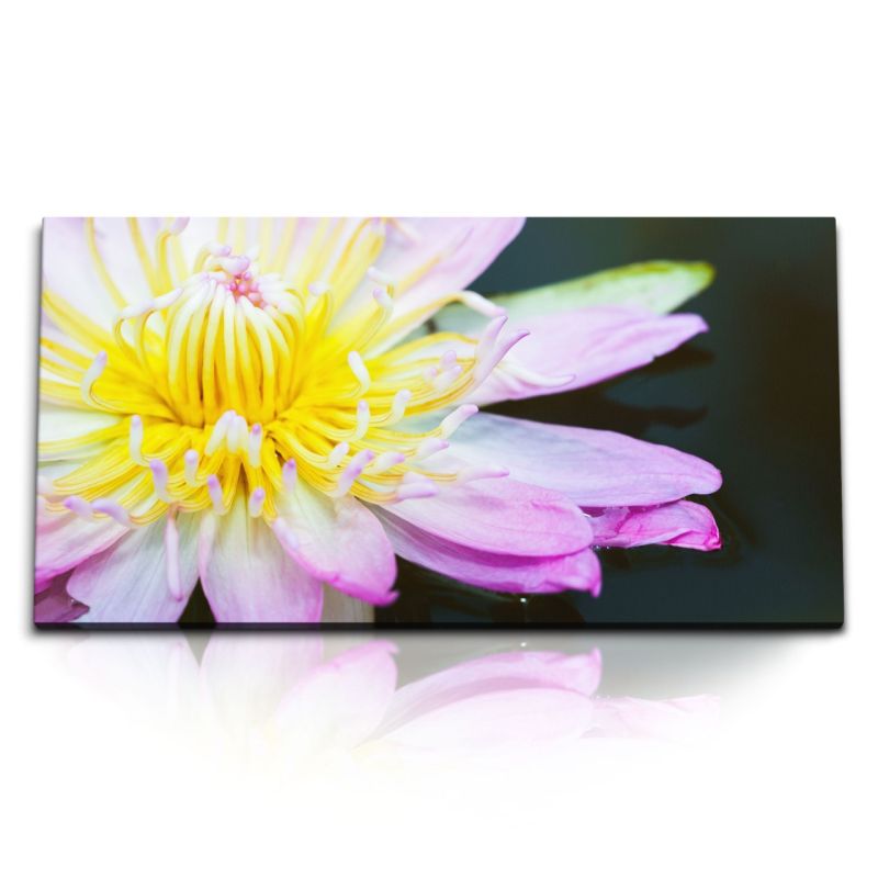 Kunstdruck Bilder 120x60cm Blume Exotisch Blüte Nahaufnahme Makrofotografie