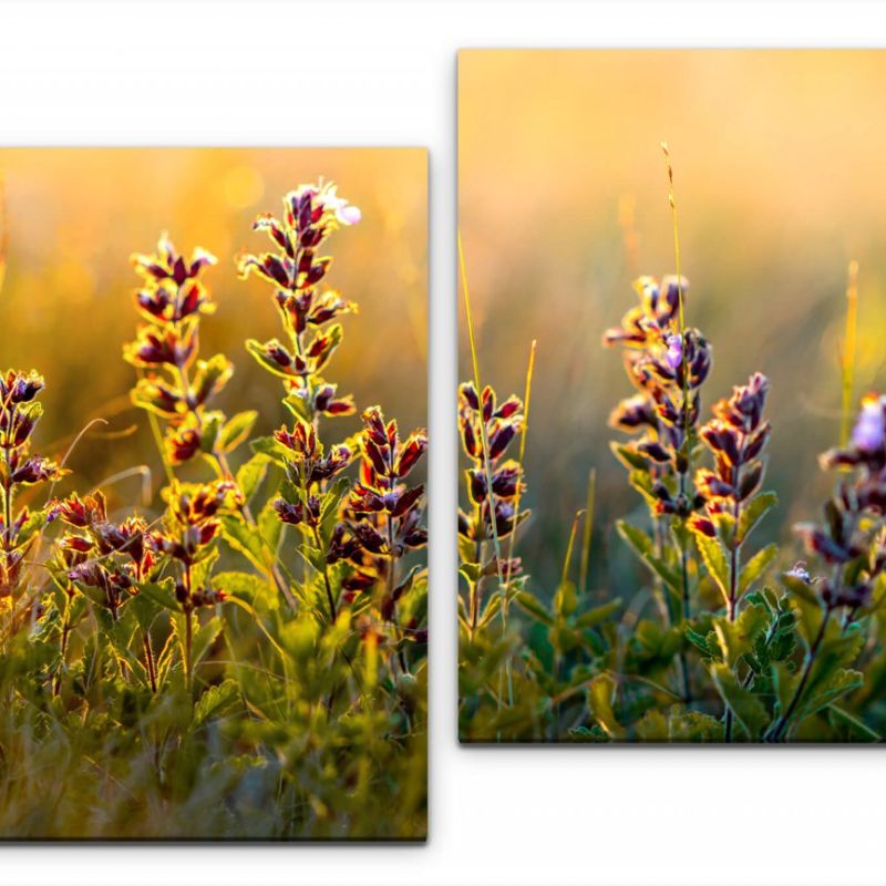 wilde Blumen und Gräser Wandbild in verschiedenen Größen