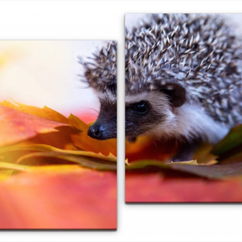 kleiner Igel Wandbild in verschiedenen Größen