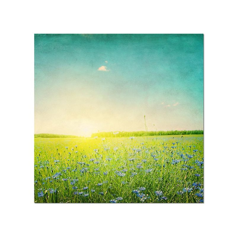 80x80cm Kornblumen Feld Sonnenuntergang Frühling