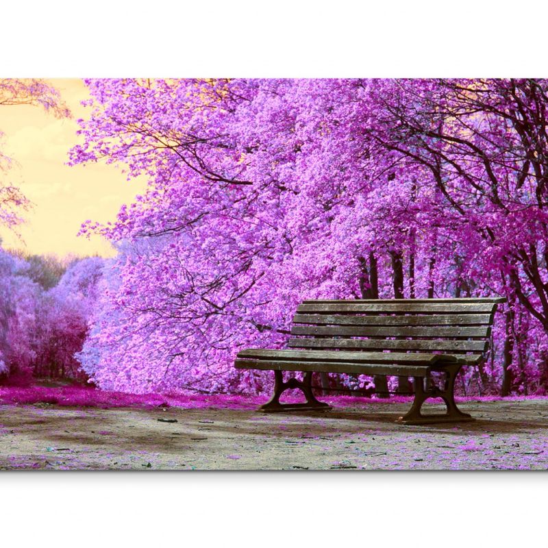 120x80cm Wandbild Park Bäume Blüten Bank