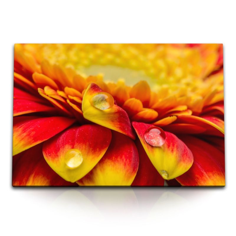 120x80cm Wandbild auf Leinwand Blume Wassertropfen Makrofotografie Orange Rot