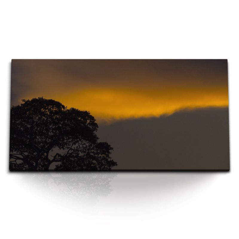 Kunstdruck Bilder 120x60cm Abenddämmerung Baum Nacht Sonnenuntergang Natur