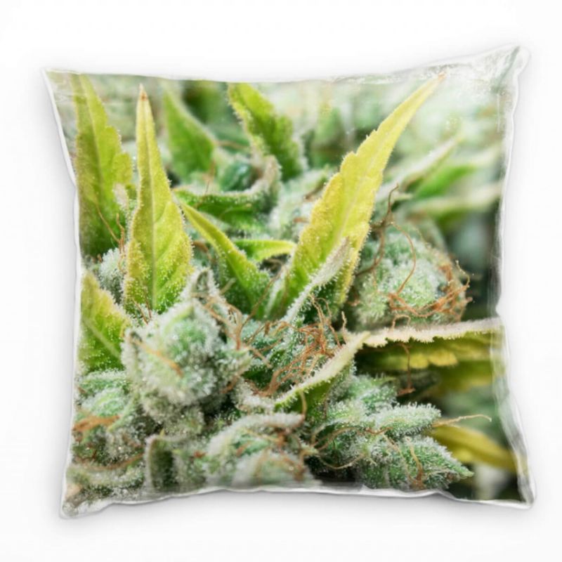 Macro, Natur, Marihuana, Cannabis, grün Deko Kissen 40x40cm für Couch Sofa Lounge Zierkissen