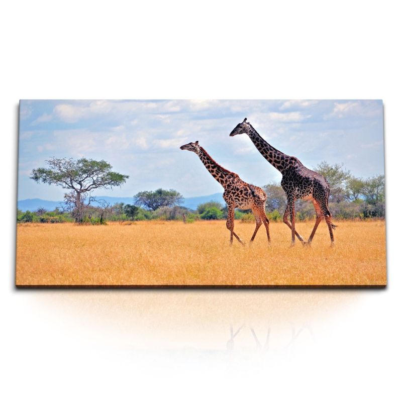 Kunstdruck Bilder 120x60cm Afrika Giraffen Safari Wildnis Tierfotografie Natur