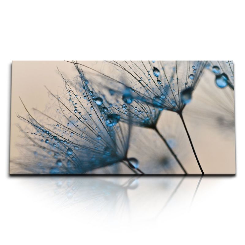 Kunstdruck Bilder 120x60cm Pusteblume Fotokunst Nahaufnahmen Makrofotografie Blau