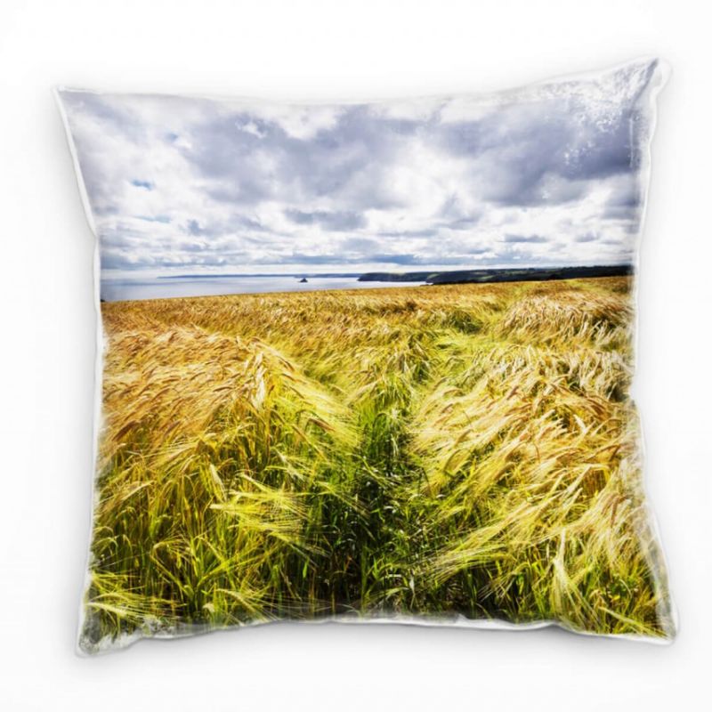 Landschaft, Feld, Wolken, grau, beige, grün Deko Kissen 40x40cm für Couch Sofa Lounge Zierkissen