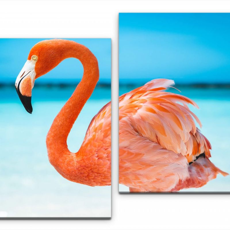 Flamingo im Meer Wandbild in verschiedenen Größen