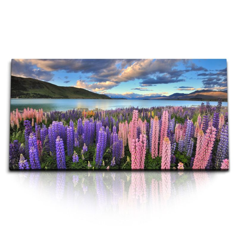 Kunstdruck Bilder 120x60cm Neuseeland Landschaft Wildblumen Blumen See Berge