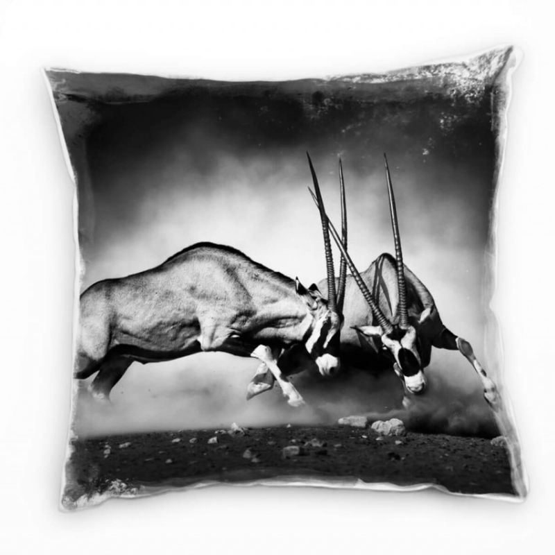 Tiere, zwei kämpfende Spießböcke, grau Deko Kissen 40x40cm für Couch Sofa Lounge Zierkissen