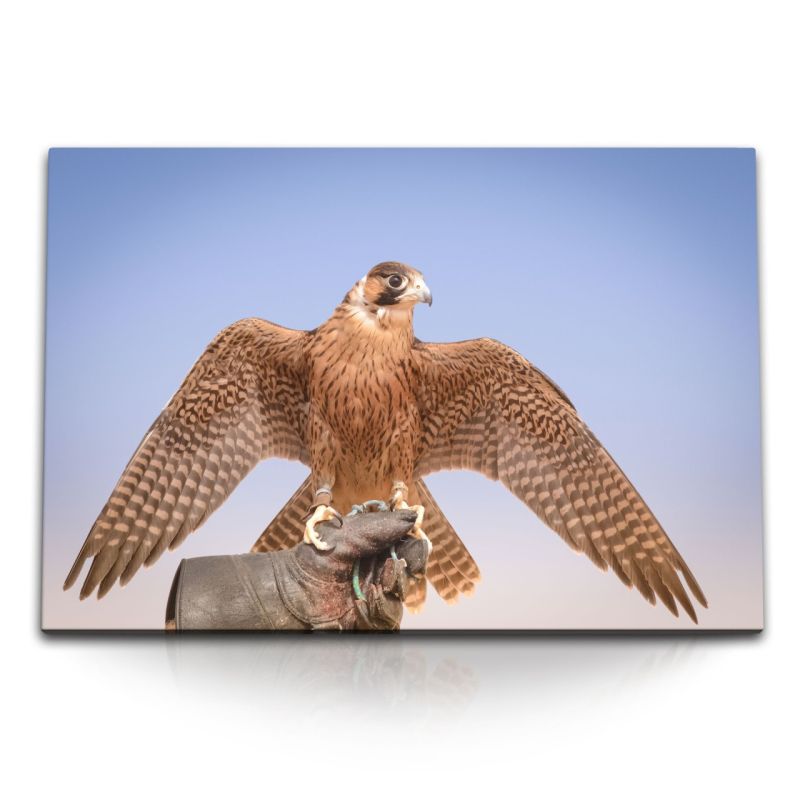 120x80cm Wandbild auf Leinwand Falke Falkenjagd Dubai Raubvogel Greifvogel