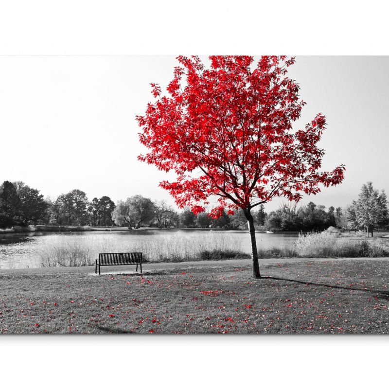 120x80cm Wandbild Park Bank Teich schwarz weiß Baum rote Blätter