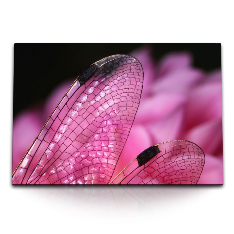 120x80cm Wandbild auf Leinwand Makrofotografie Libellenflügel Libelle Rosa Fotokunst